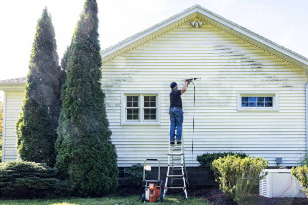 Professional Pressure Washing in Upper Grand Lagoon, FL